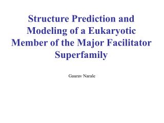 Structure Prediction and Modeling of a Eukaryotic Member of the Major Facilitator Superfamily