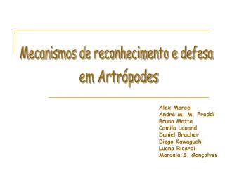 Mecanismos de reconhecimento e defesa