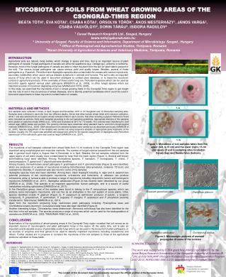 MYCOBIOTA OF SOILS FROM WHEAT GROWING AREAS OF THE CSONGRÁD-TIMIS REGION