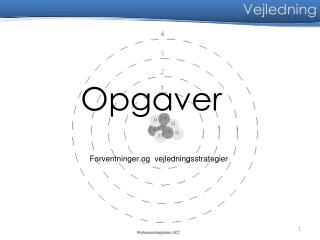Opgaver