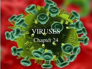 VIRUSES