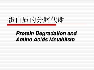 蛋白质的分解代谢