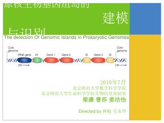 原核生物基因组岛的 建模与识别