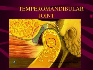 TEMPEROMANDIBULAR JOINT