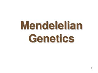 Mendelelian Genetics