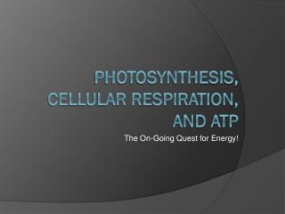 Photosynthesis, Cellular Respiration, and ATP