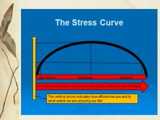 Stress curve &amp; kayak