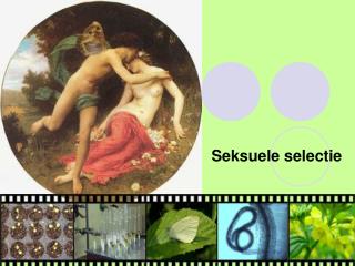 Seksuele selectie