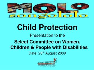 Child Protection Presentation to the