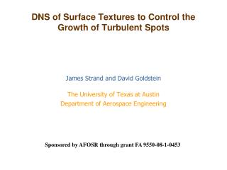 DNS of Surface Textures to Control the Growth of Turbulent Spots