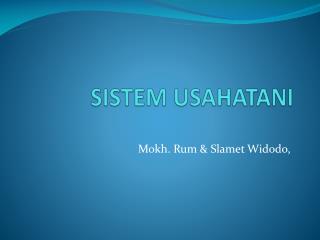 SISTEM USAHATANI