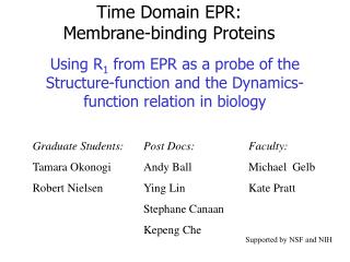 Time Domain EPR: Membrane-binding Proteins