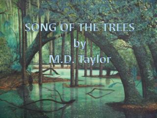 SONG OF THE TREES by M.D. Taylor