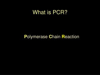 What is PCR?