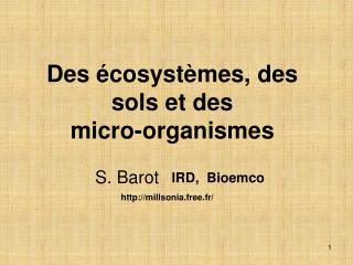 Des écosystèmes, des sols et des micro-organismes