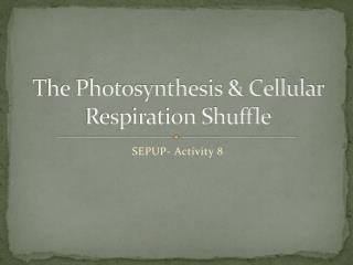 The Photosynthesis &amp; Cellular Respiration Shuffle