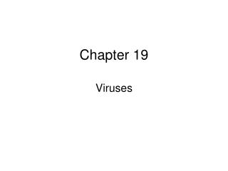 Chapter 19
