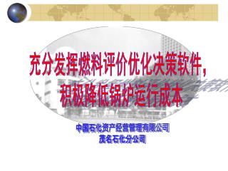 充分发挥燃料评价优化决策软件， 积极降低锅炉运行成本