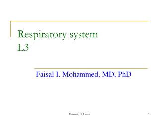 Respiratory system L3