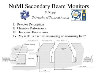 NuMI Secondary Beam Monitors