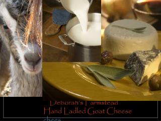 Deborah’s Farmstead Hand Ladled Goat Cheese chees