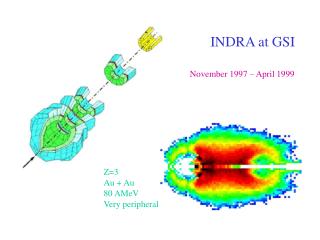 INDRA at GSI