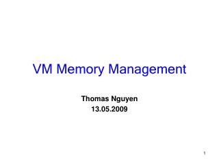 VM Memory Management