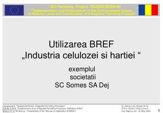 Utilizarea BREF „Industria celulozei si hartiei “