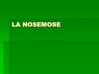 LA NOSEMOSE