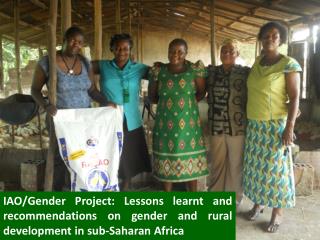 The IAO/Gender research project