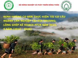 NHIỆM VỤ TRỌNG TÂM THỰC HIỆN TÁI CƠ CẤU NGÀNH LÂM NGHIỆP KẾ HOẠCH NĂM 2015;