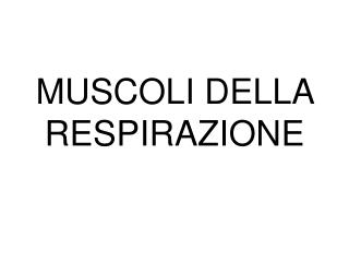 MUSCOLI DELLA RESPIRAZIONE