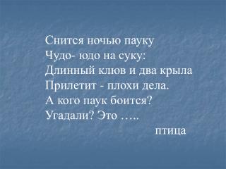 Снится ночью пауку Чудо- юдо на суку: Длинный клюв и два крыла Прилетит - плохи дела.