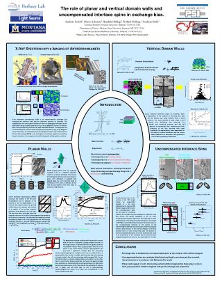 The role of planar and vertical domain walls and uncompensated interface spins in exchange bias.