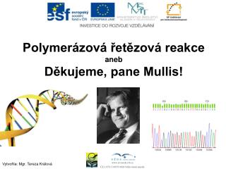 Polymerázová řetězová reakce aneb Děkujeme, pane Mullis!