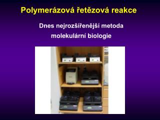 Polymerázová řetězová reakce