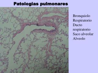 Patologias pulmonares