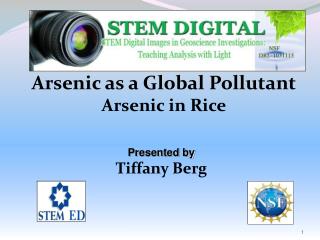 Arsenic as a Global Pollutant Arsenic in Rice