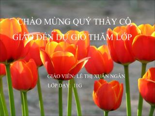 CHÀO MỪNG QUÝ THẦY CÔ GIÁO ĐẾN DỰ GIỜ THĂM LỚP GIÁO VIÊN: LÊ THỊ XUÂN NGÂN