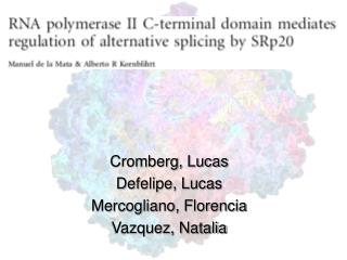 Cromberg, Lucas Defelipe, Lucas Mercogliano, Florencia Vazquez, Natalia