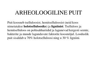 ARHEOLOOGILINE PUIT