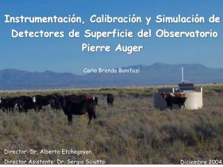 Instrumentaci ón, Calibración y Simulación de Detectores de Superficie del Observatorio