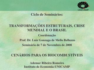 Ciclo de Seminários: TRANSFORMAÇÕES ESTRUTURAIS, CRISE MUNDIAL E O BRASIL Coordenação