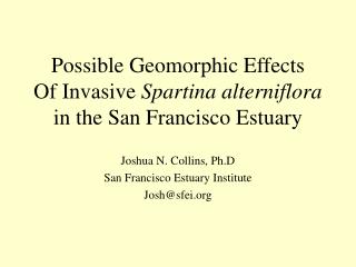 Possible Geomorphic Effects Of Invasive Spartina alterniflora in the San Francisco Estuary