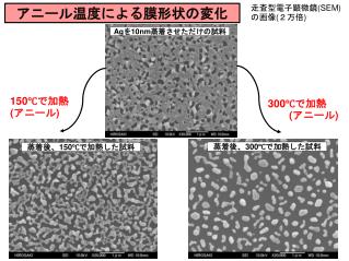 アニール温度による膜形状の変化