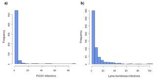 PUUV infections