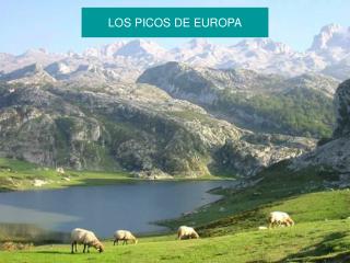 LOS PICOS DE EUROPA