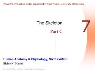 The Skeleton Part C