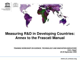 Measuring R&amp;D in Developing Countries: Annex to the Frascati Manual