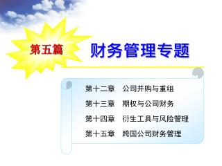 财务管理专题